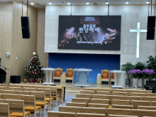 대성전 성탄트리